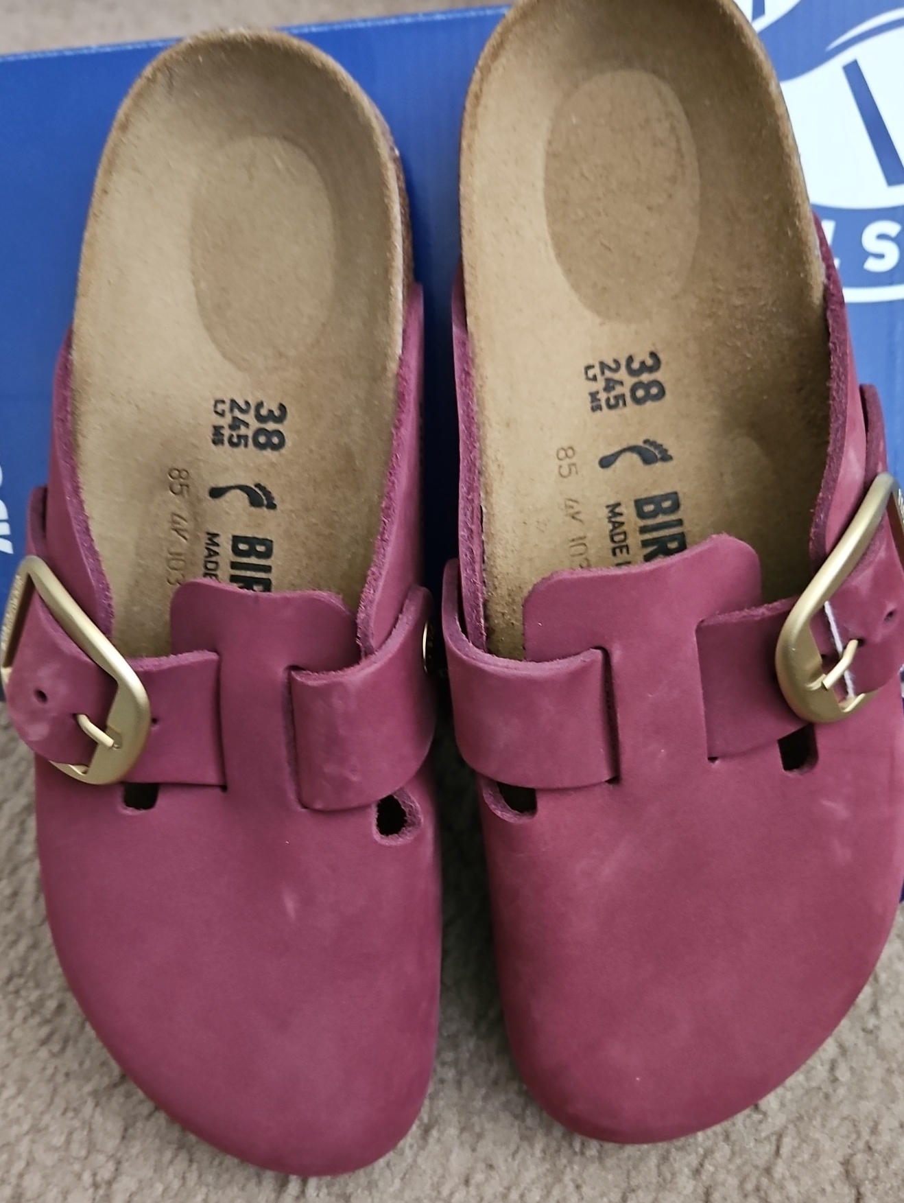 Birkenstock Women's Madrid Clog In Raspberry With Gold Buckle